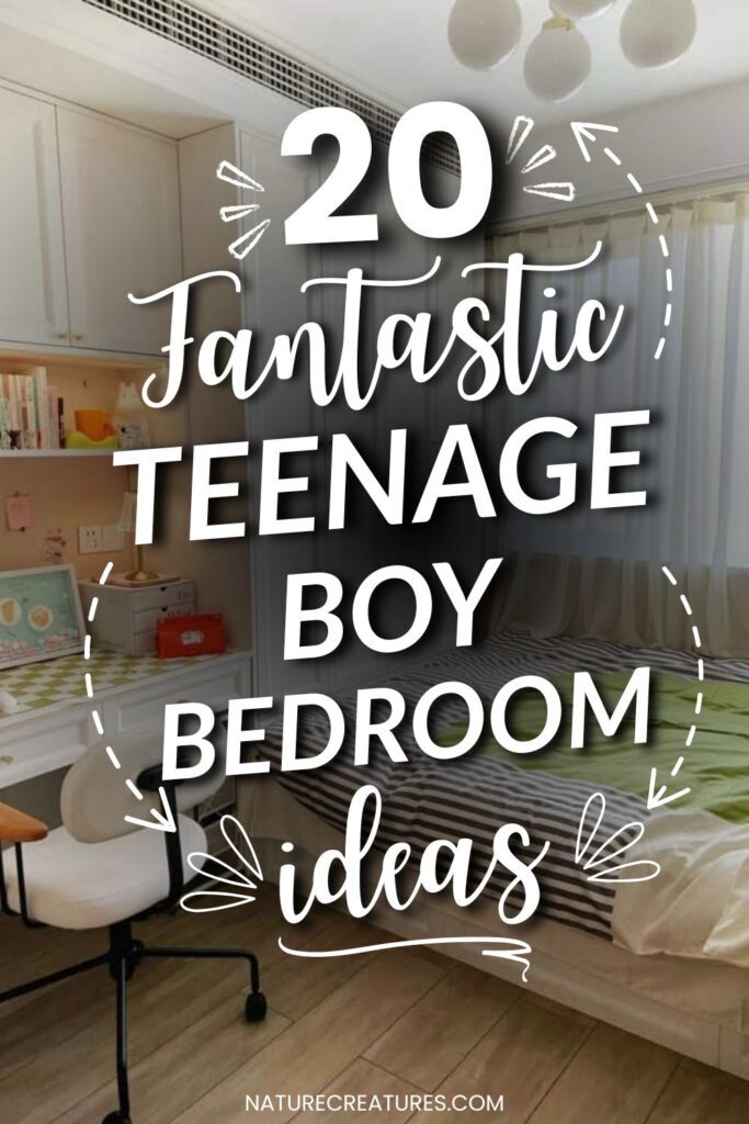 Teenage boy bedroom ideas Teenage boy bedroom ideas