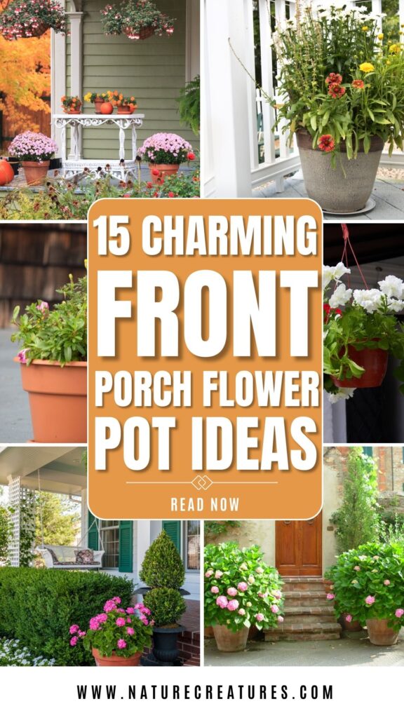 front porch flower pot