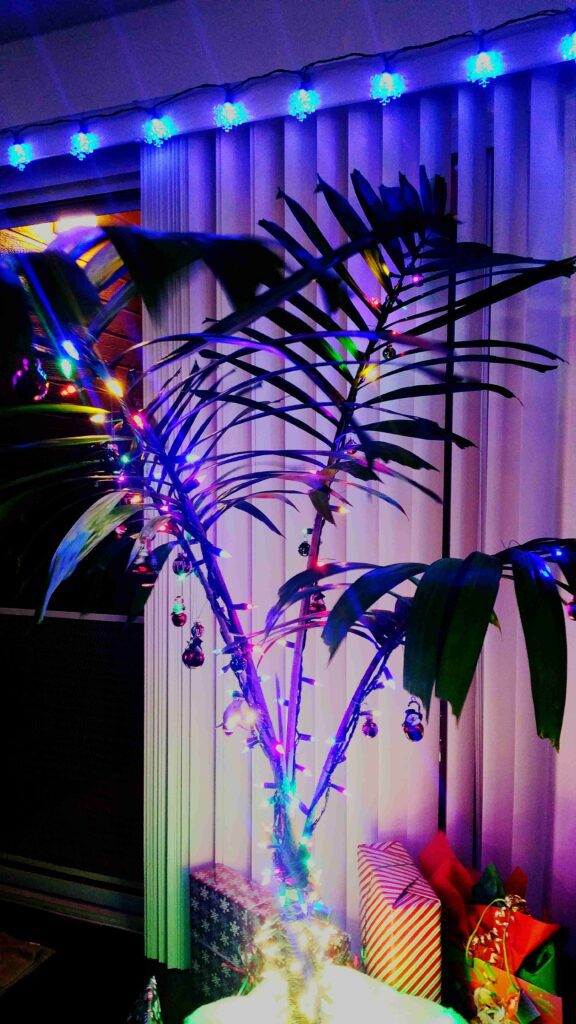 illuminated christmas tree against curtain 11zon