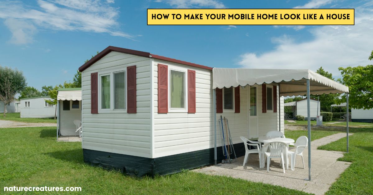 Read more about the article How to Make Your Mobile Home Look Like a House – 15 Easy Upgrades