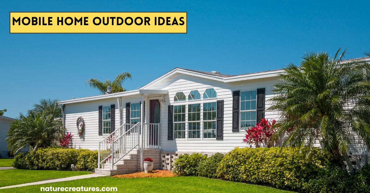 Read more about the article 15 Genius Mobile Home Outdoor Ideas for Instant Charm