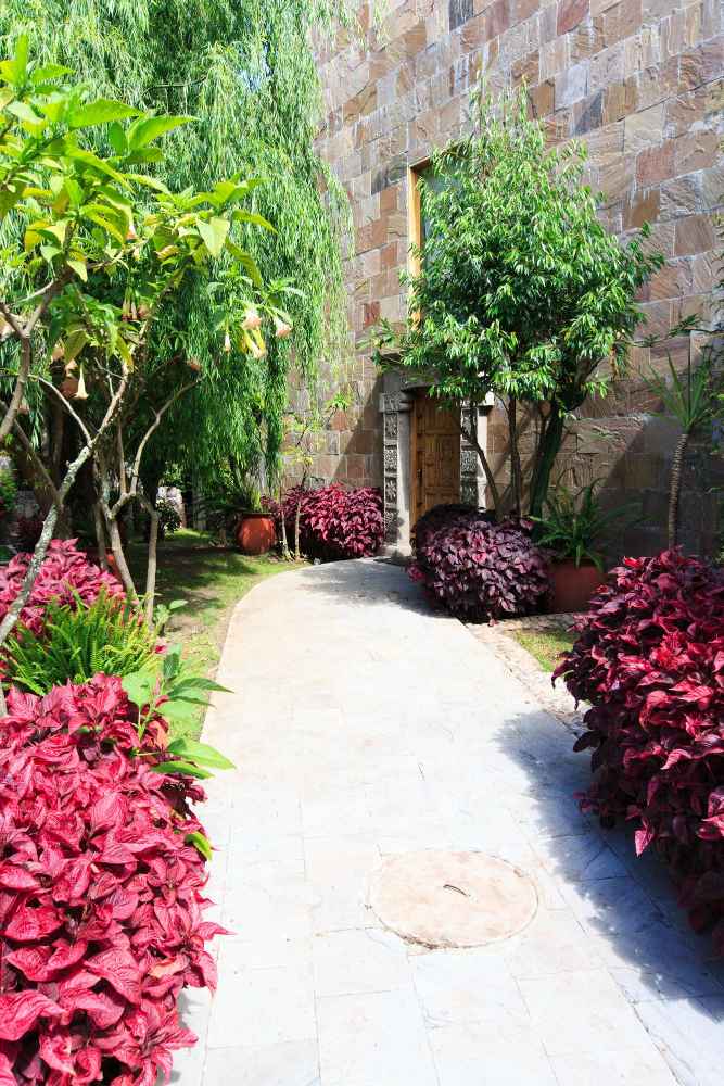 24493 11zon 24493 11zon