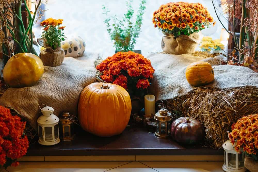 6660 min 1 1 You are currently viewing 15 Boo-tiful Fall Halloween Decor Ideas for a Spooktacular Home
