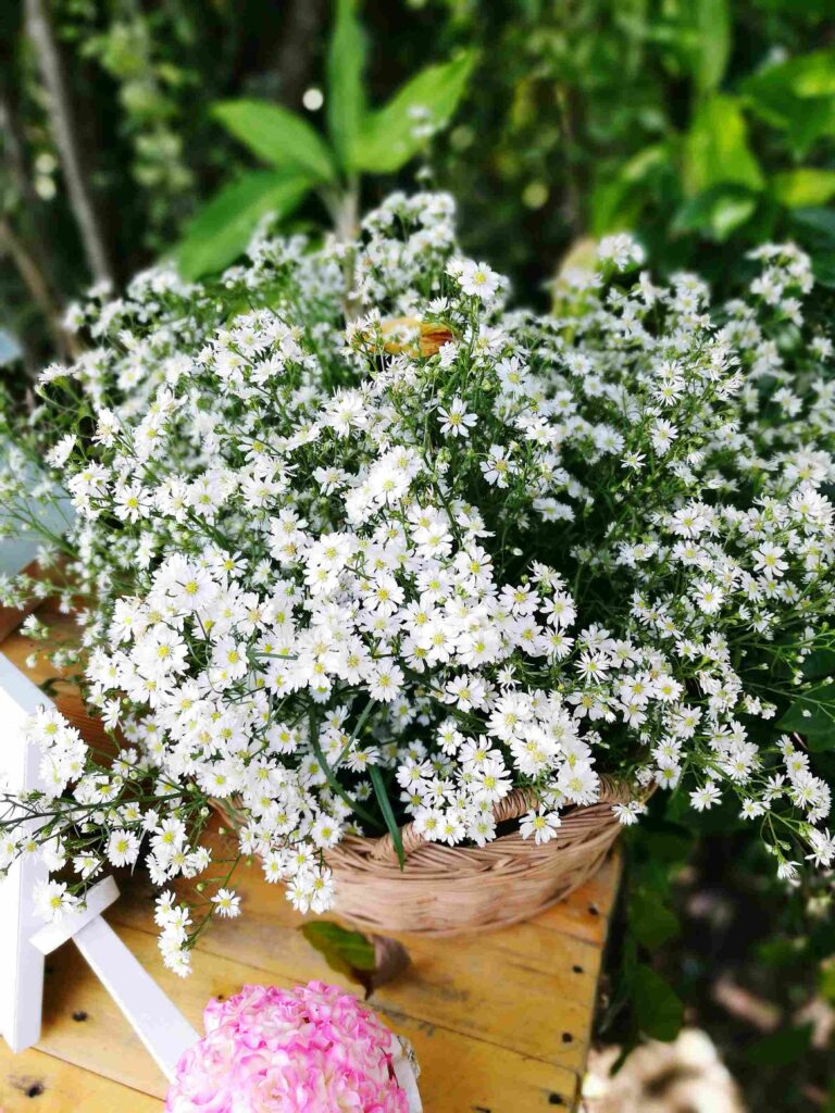 close up flowers basket 11zon 1 close up flowers basket 11zon 1