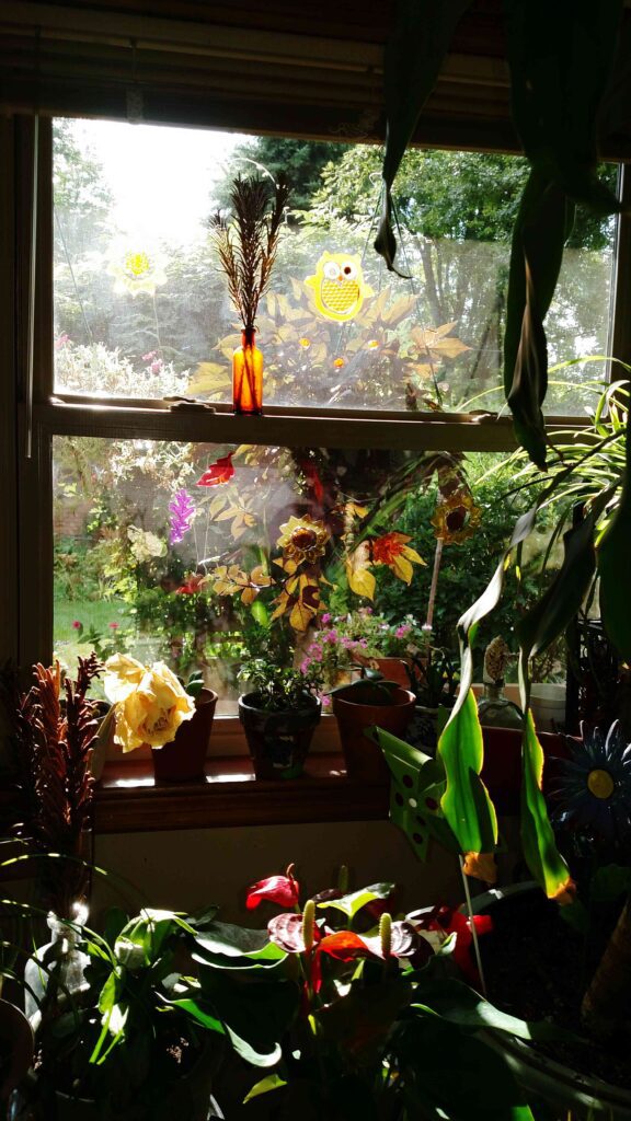 potted plants house 11zon