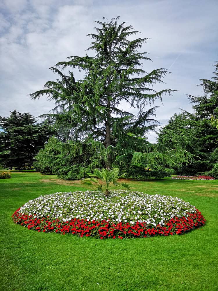 12173529 1 12173529 1