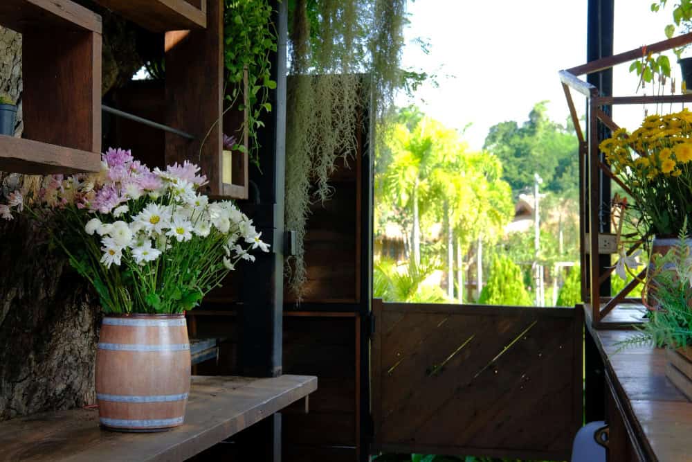 Read more about the article 25 Best Porch Potted Plants Images