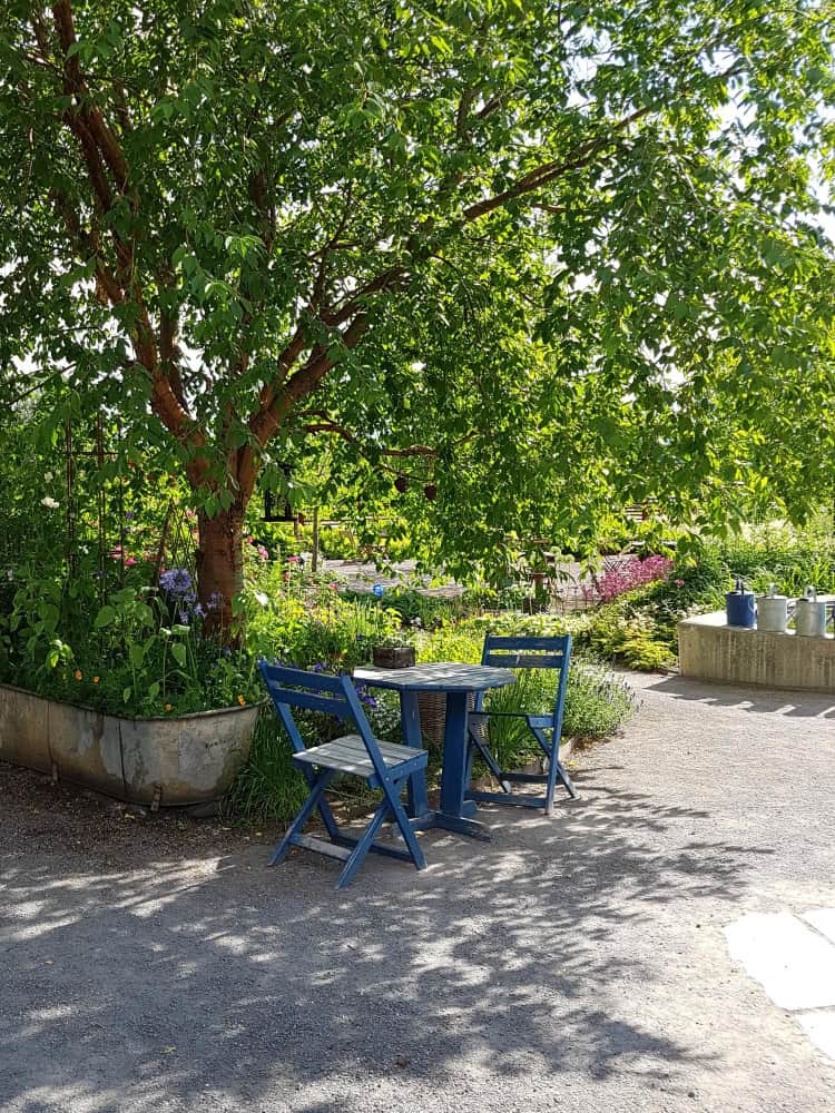 17291479 1 17291479 1