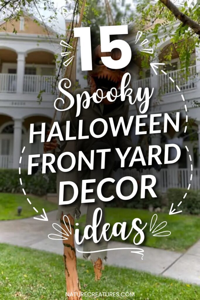halloween front yard decoration