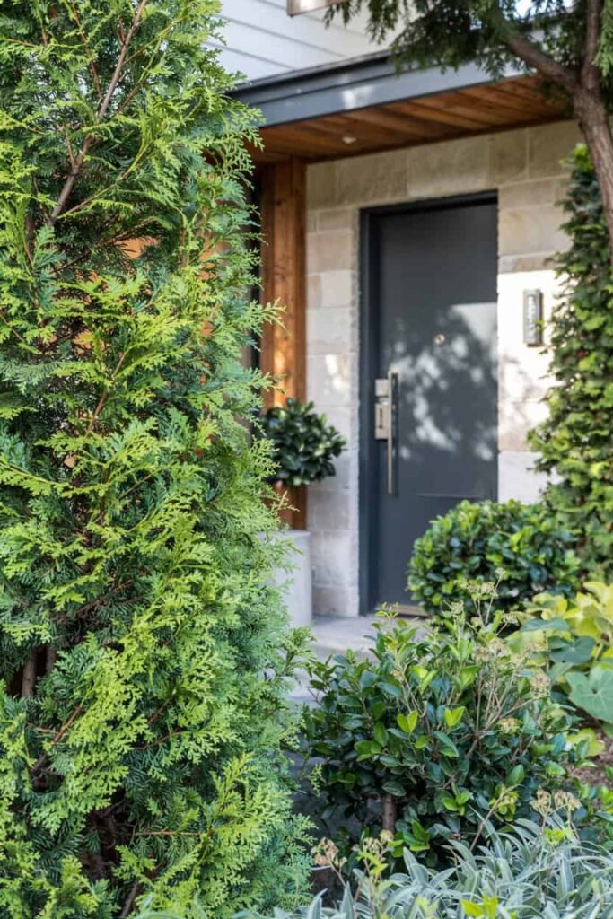 cheap green fence cheap green fence