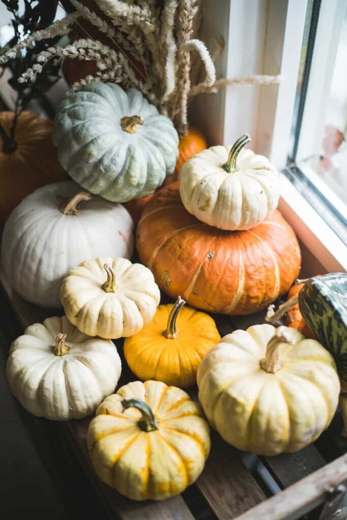 spooky home decor Collection of Unique Pumpkins 1 spooky home decor Collection of Unique Pumpkins 1