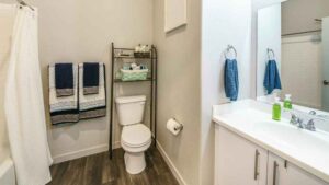 Read more about the article 17 Smart Over the Toilet Storage Solutions