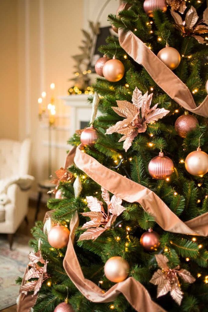 a photograph of a beautifully decorated v8UcD0BdRH GR7g SqD BQ na2NtfsUSuWRBc4iXVdAMg 1