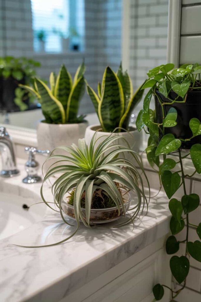 bathroom counter greenery bathroom counter greenery