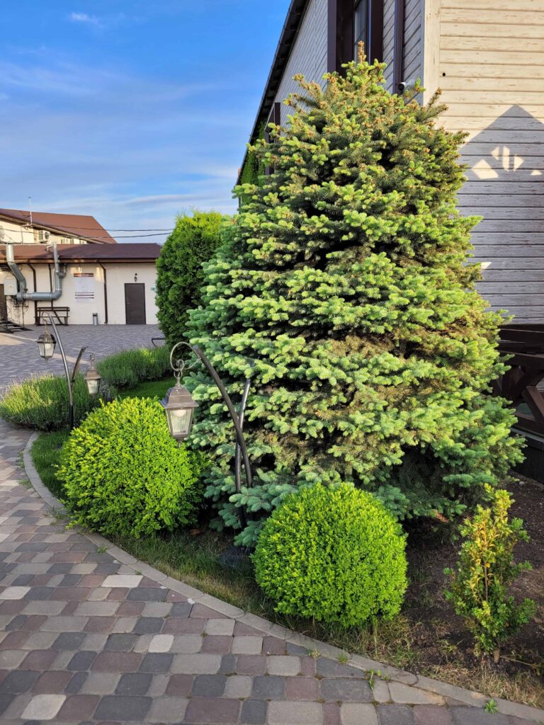 beautiful landscaping home country 1