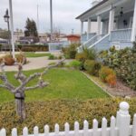 17 Perfect Small Lawn Border Designs to Make Your Yard Shine