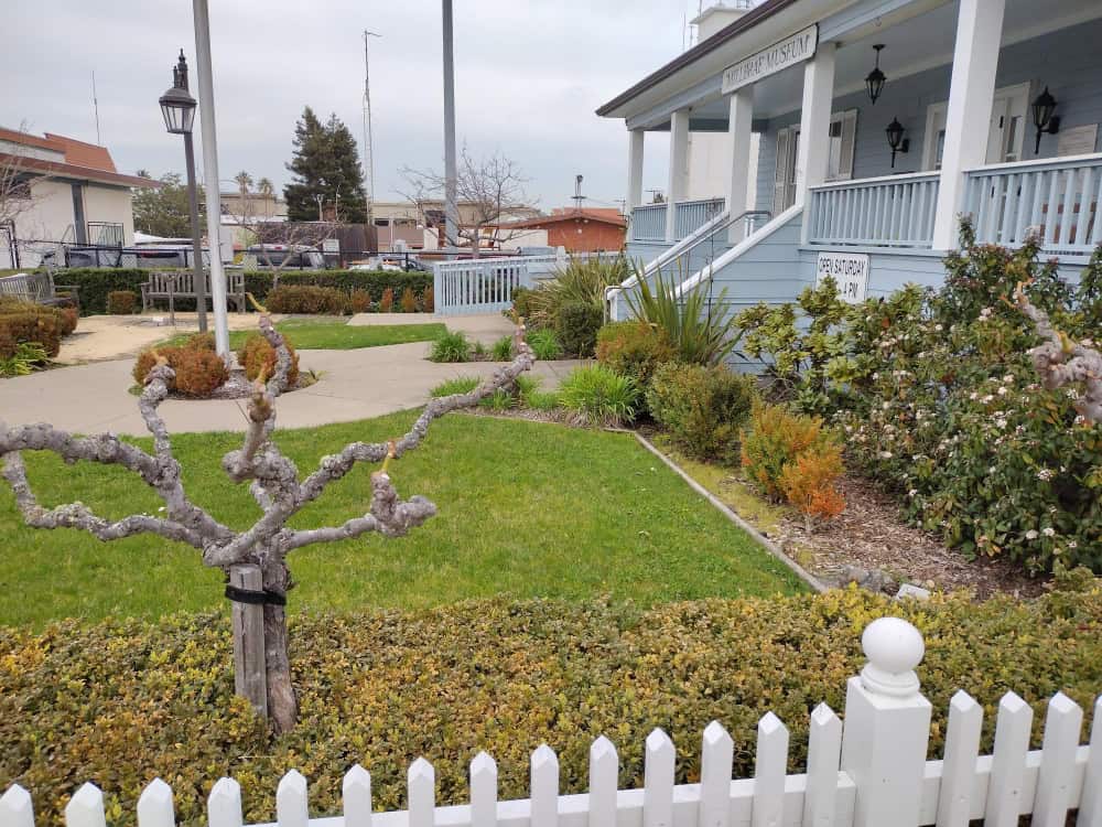 small lawn border You are currently viewing 17 Perfect Small Lawn Border Designs to Make Your Yard Shine