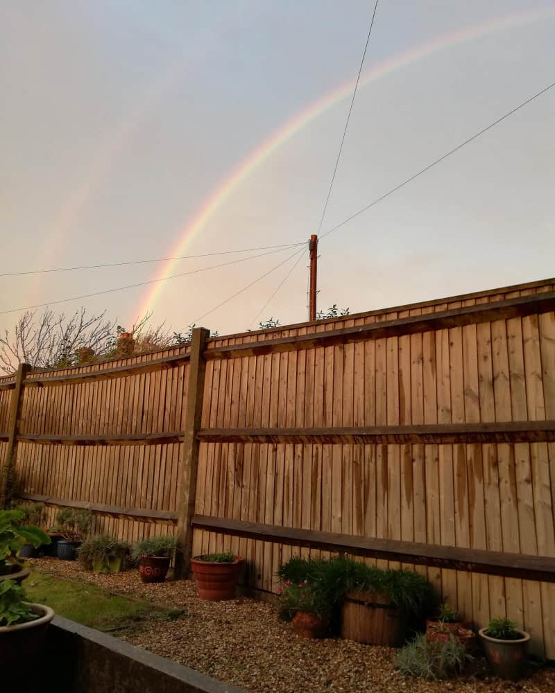 15020749 1 15020749 1