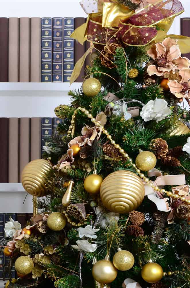 19811067 1 1 19811067 1 1