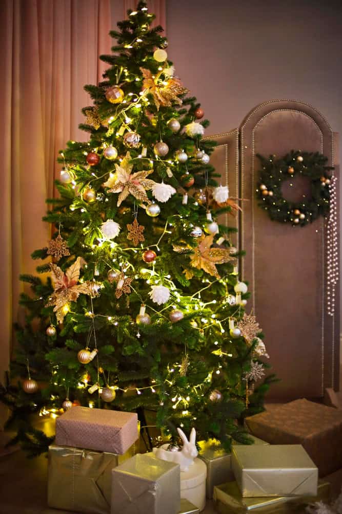 23153127 1 23153127 1