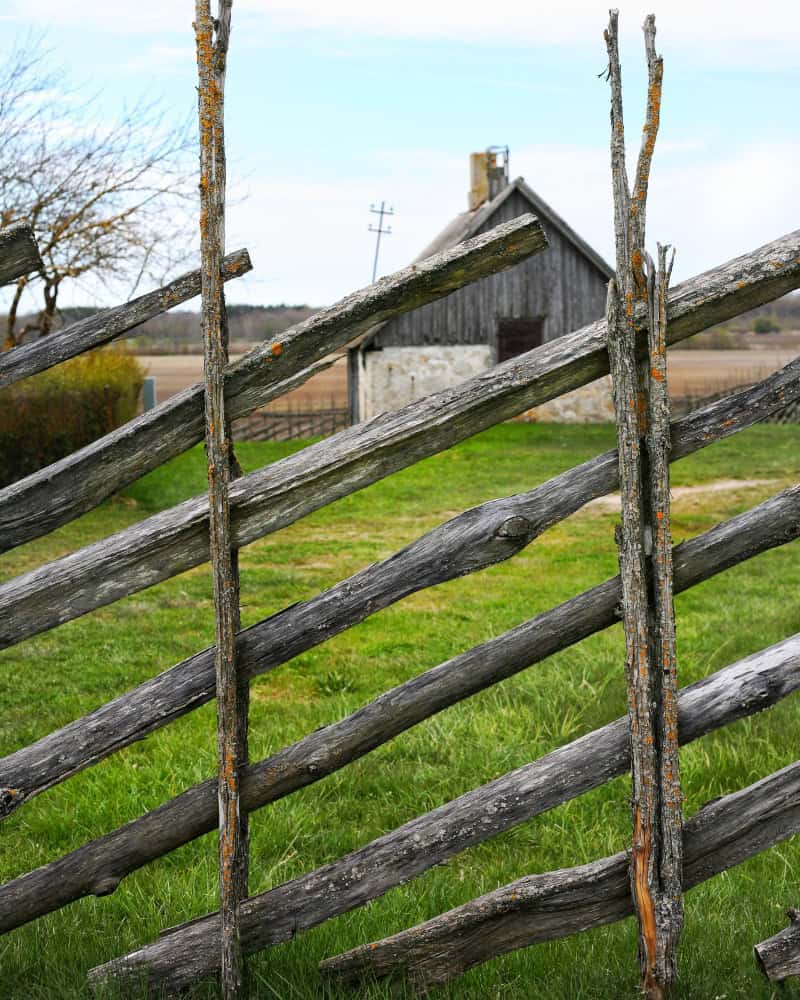 28370769 1 28370769 1