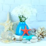 How to Display Seashells Beautifully at Home