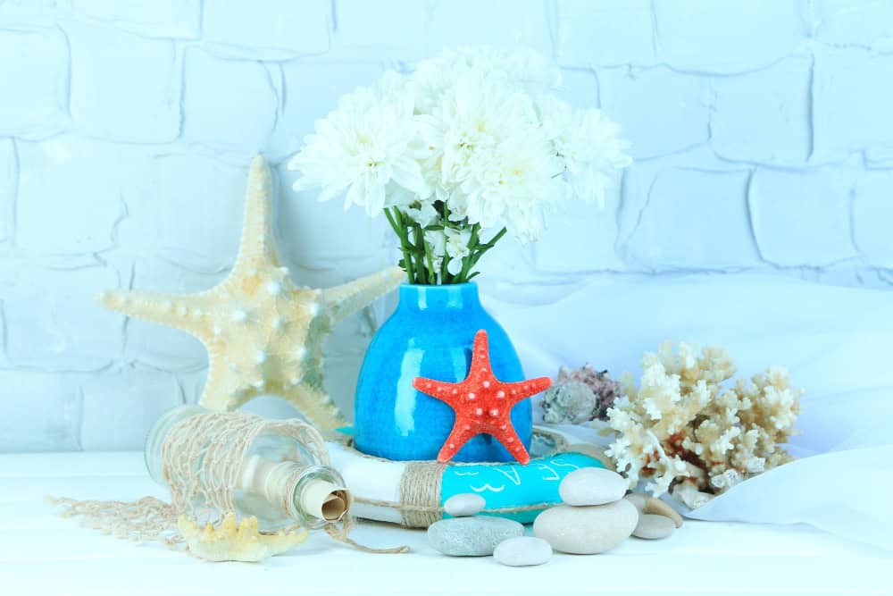 You are currently viewing How to Display Seashells Beautifully at Home