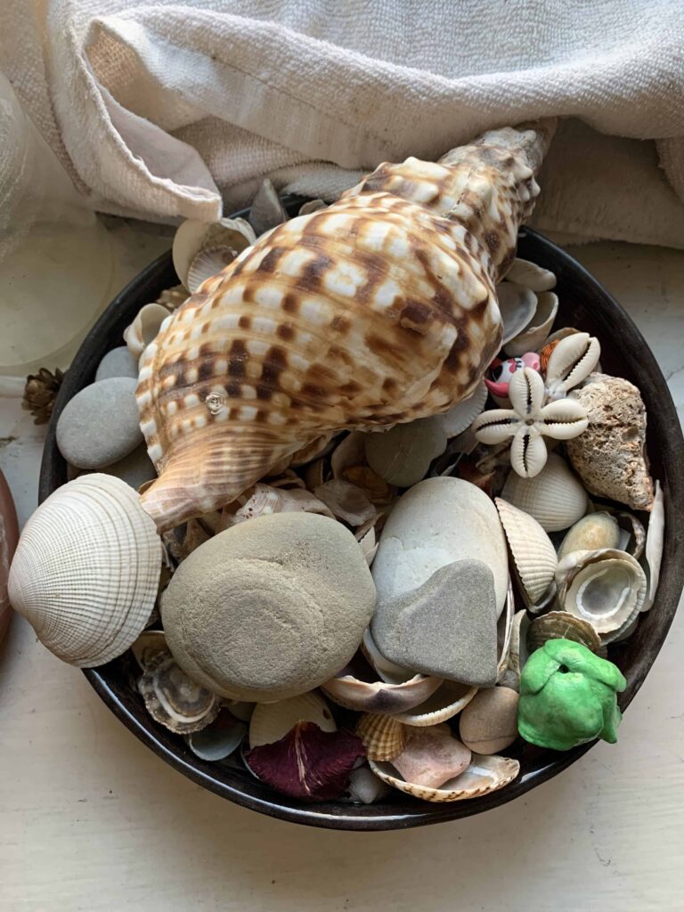 high angle view mushrooms table 1