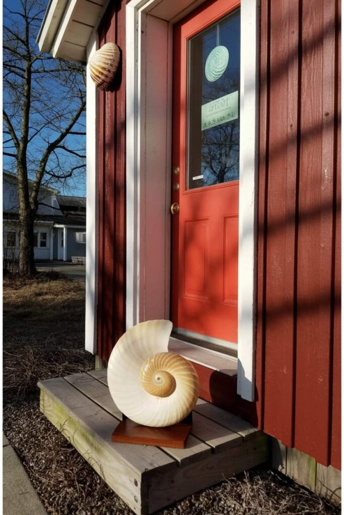 seashells display some shells are so beach door decor