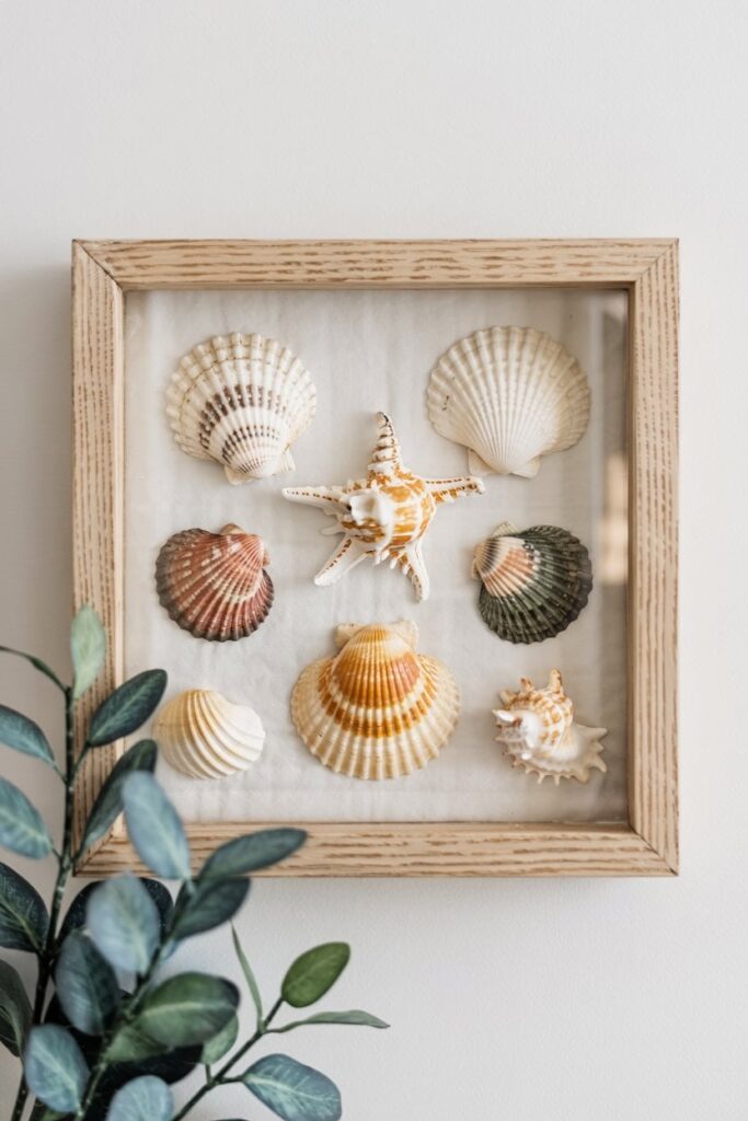 shadow box to display seashells